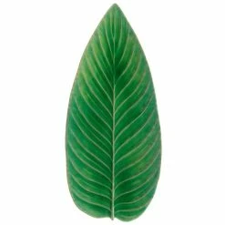 Costa Nova - Riviera Tomate Strelizia Leaf 40cm